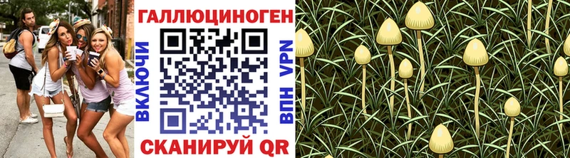 наркошоп  Ачхой-Мартан  Псилоцибиновые грибы мицелий 